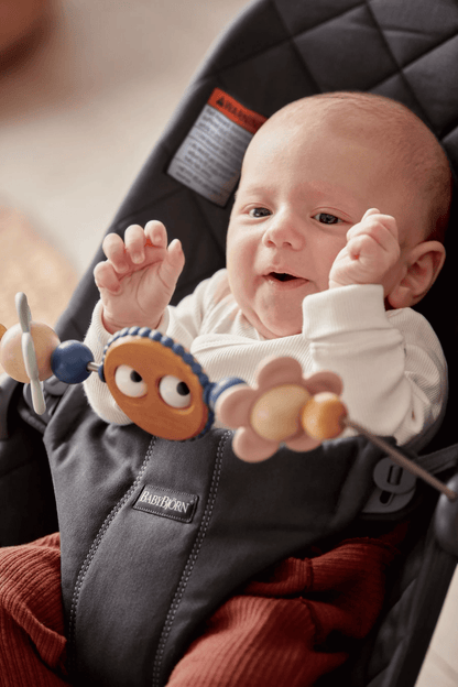 BabyBjörn Toy for Balance Soft and Bouncer Bliss
