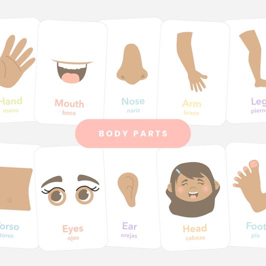 Body Parts Flashcards