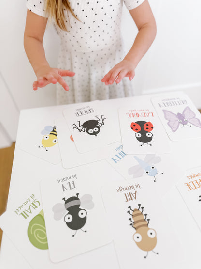 Bugs Flashcards