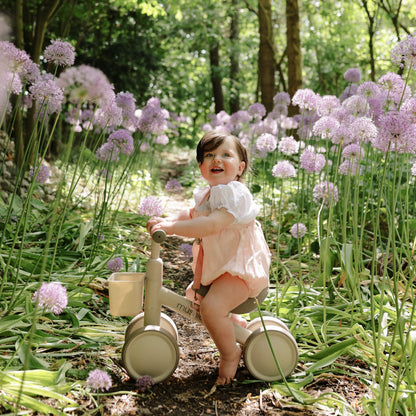 Mini Toddler Bike