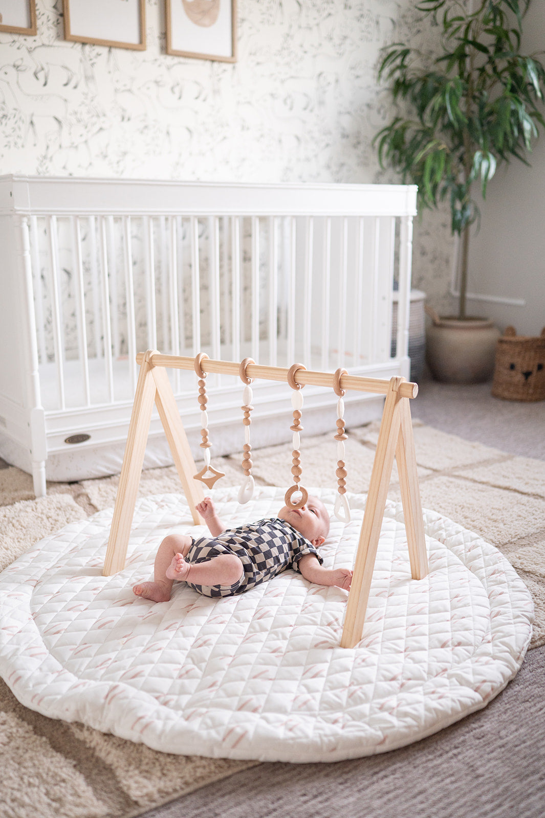 Play Gym Set