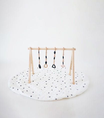 Play Gym Set