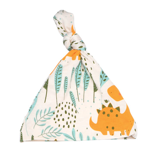 Dinosaur Newborn Knotted Hat