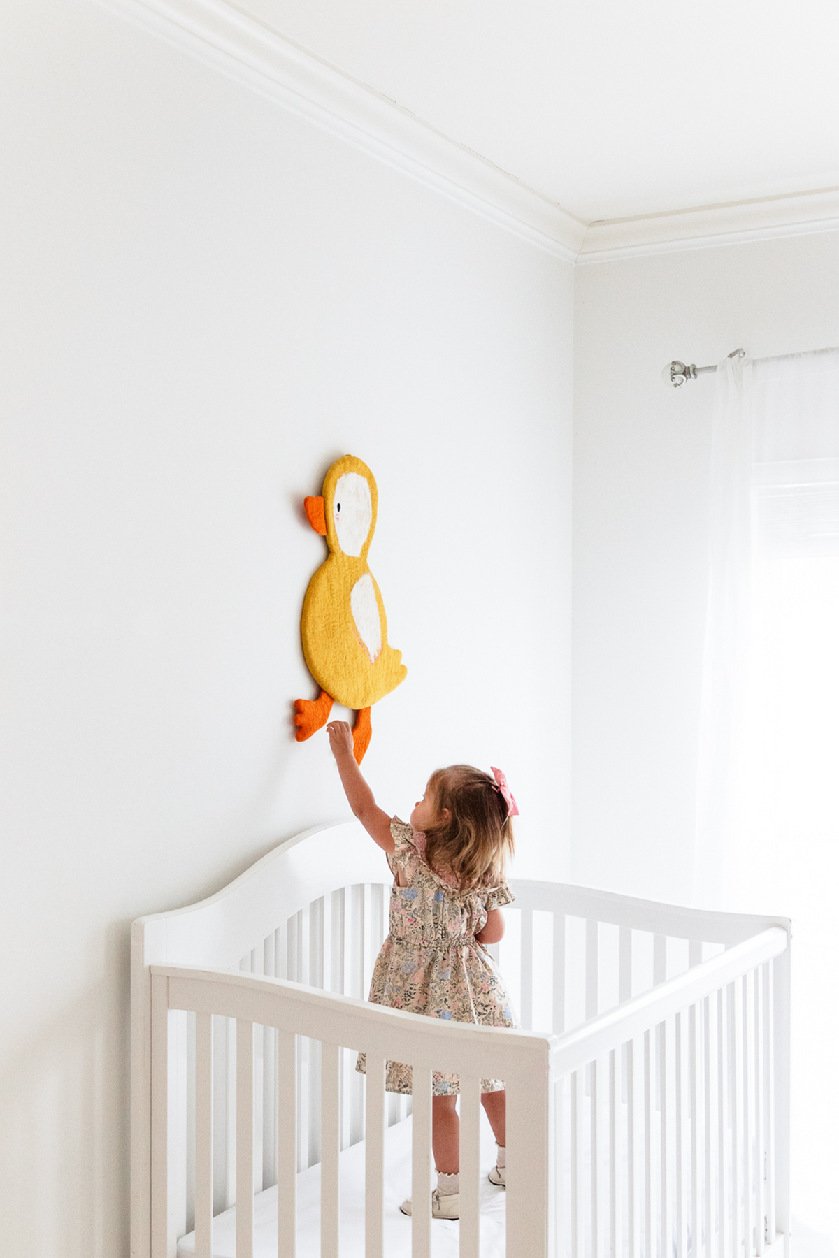 Duck Wall Art