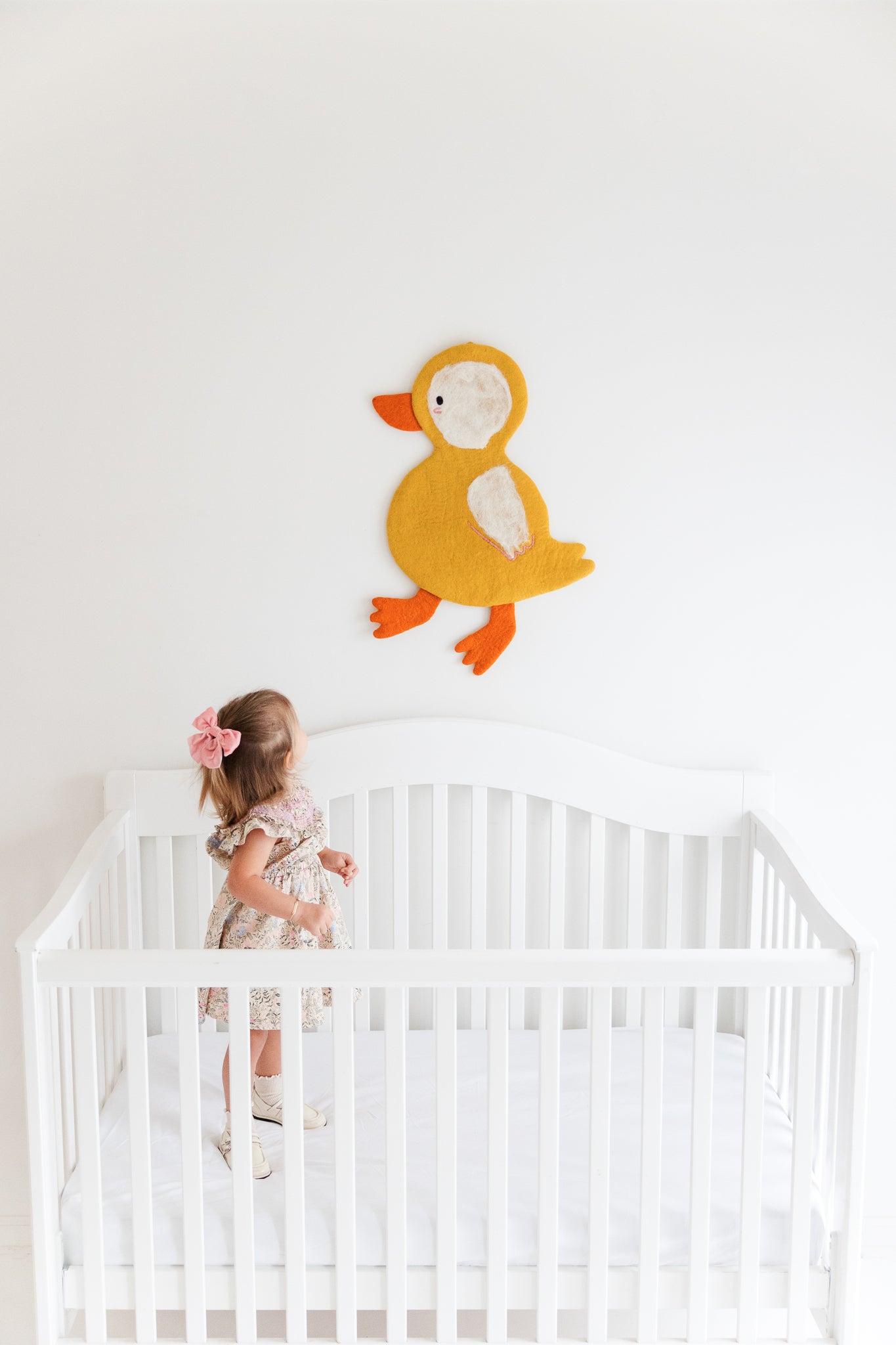 Duck Wall Art