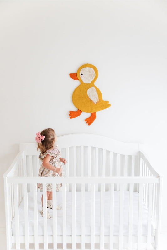 Duck Wall Art