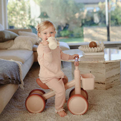 Mini Toddler Bike