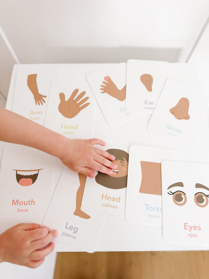 Body Parts Flashcards