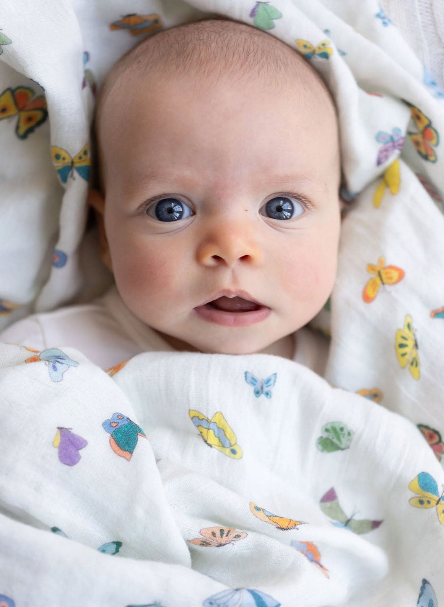 Madame Butterfly Shawl Blanket