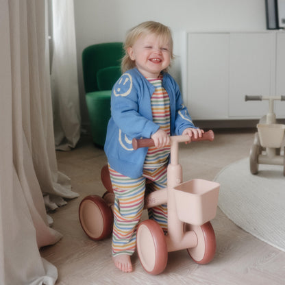 Mini Toddler Bike