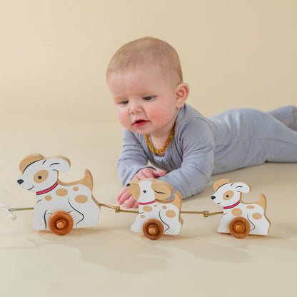 Pull Toy - The 3 Dogs | Maple Wood | Made in the USA 🇺🇸