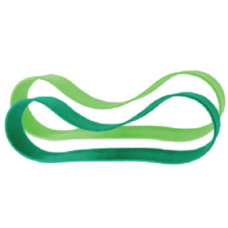 Pura® Lunch Silicone Replacement Bands