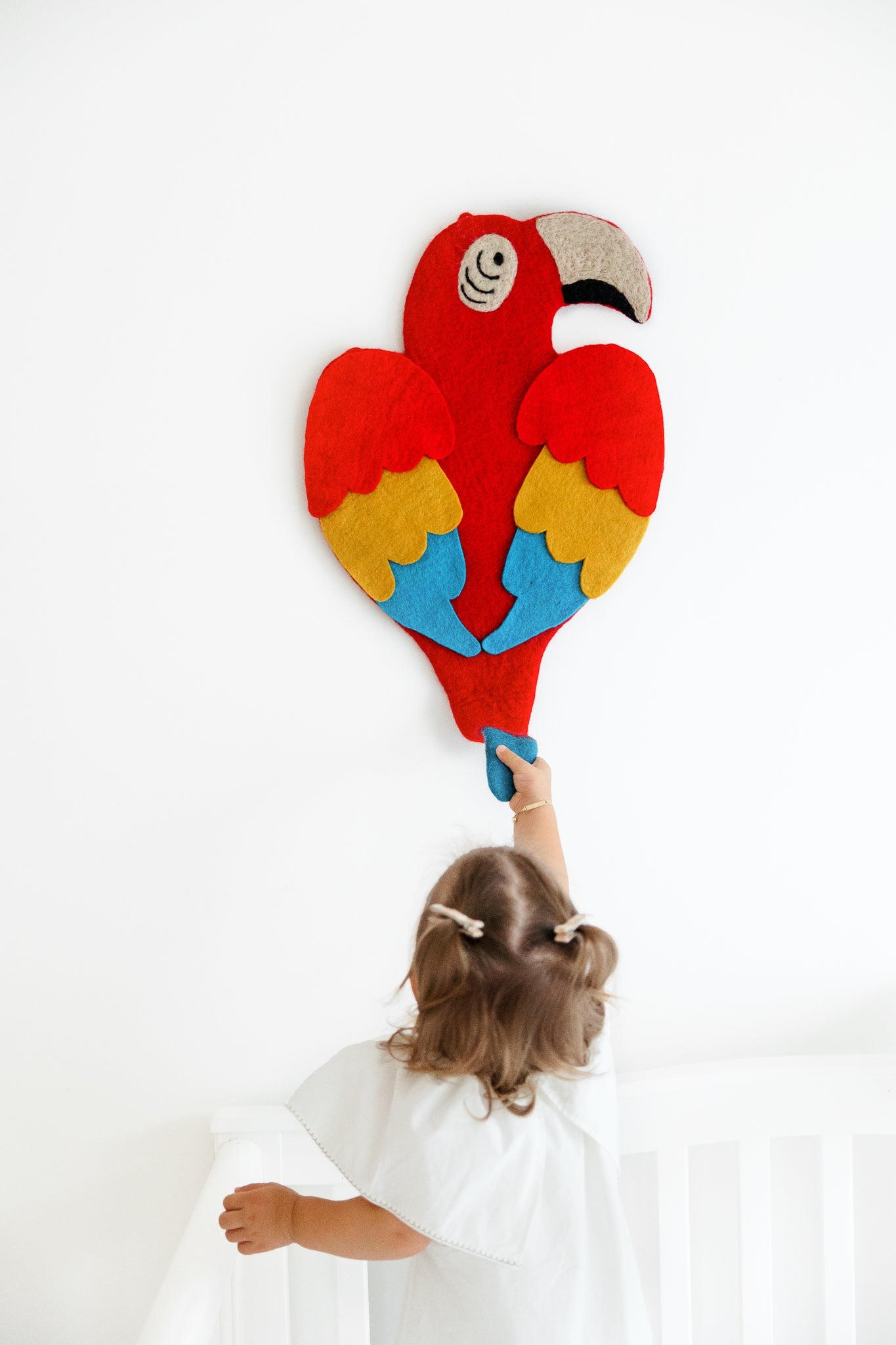 Macaw Tropical Bird Wall Art