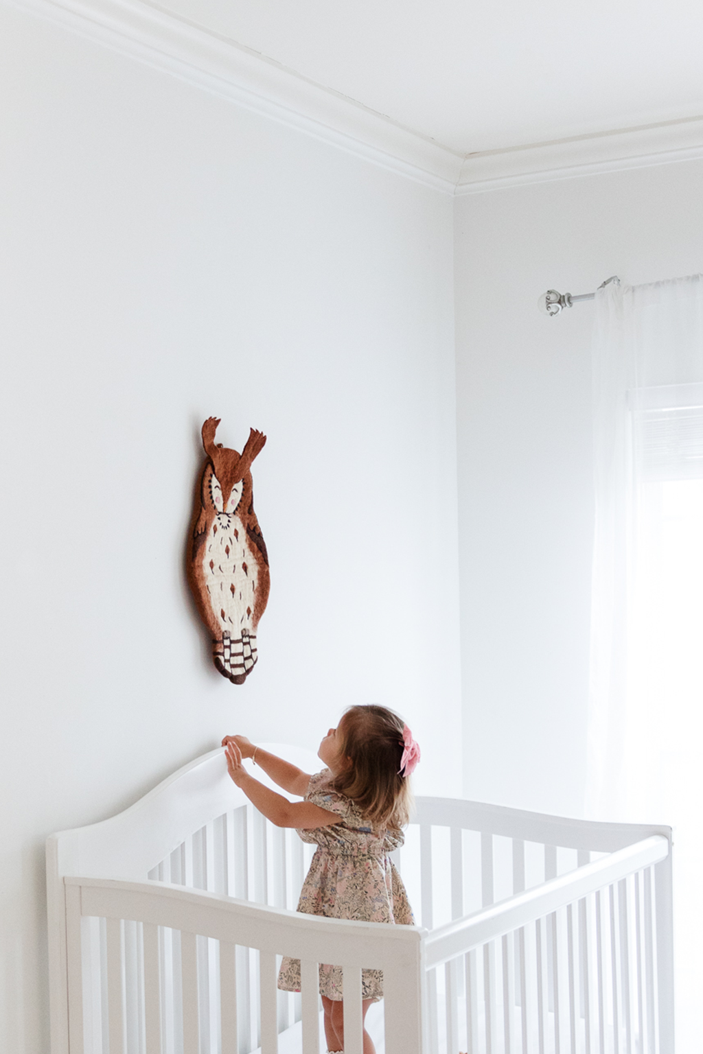 Owl Wall Art