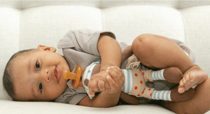 Boxer Dog - Pacifier Buddy