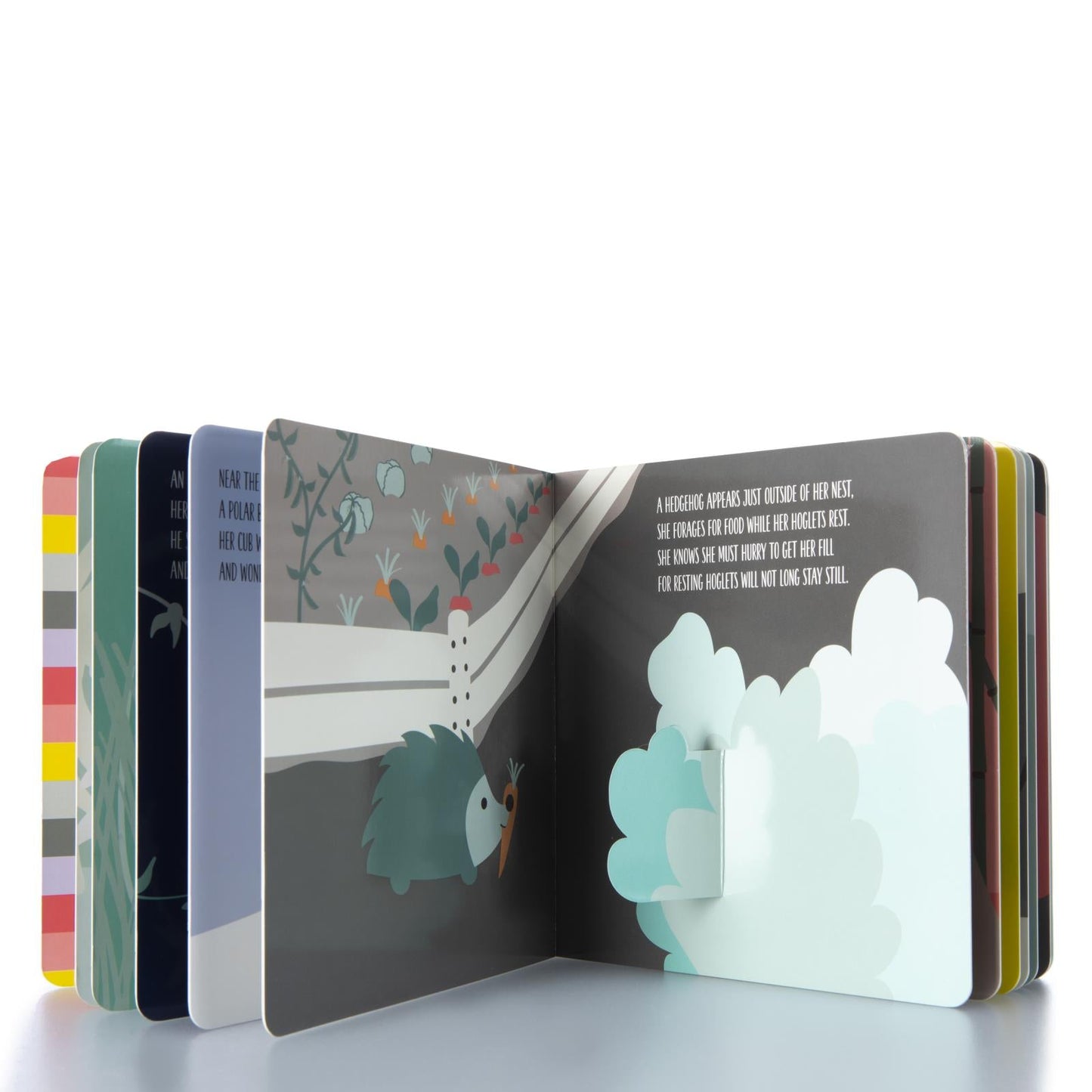 Book: Camouflaged Critters