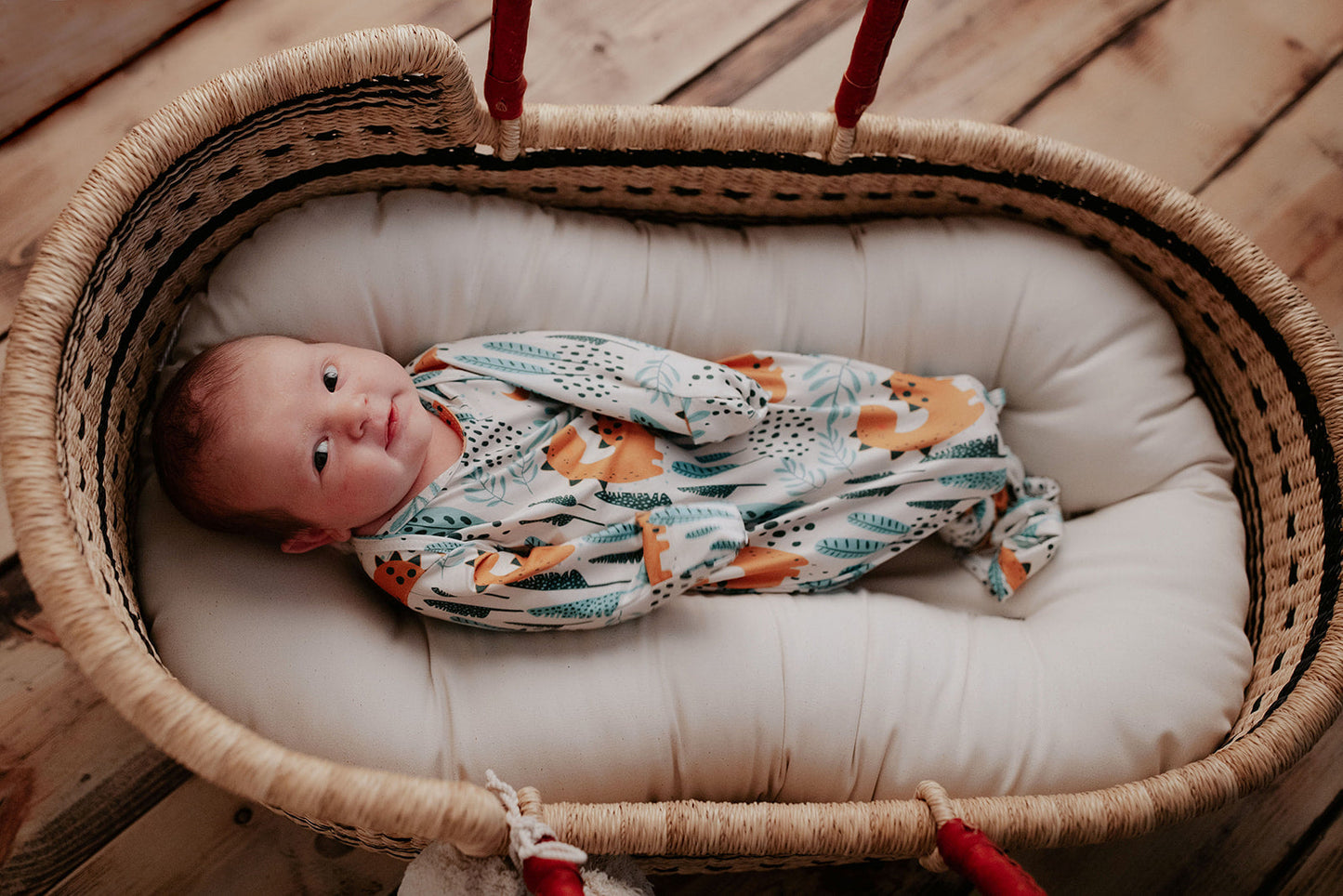 Dinosaur Themed Newborn Knotted Gown