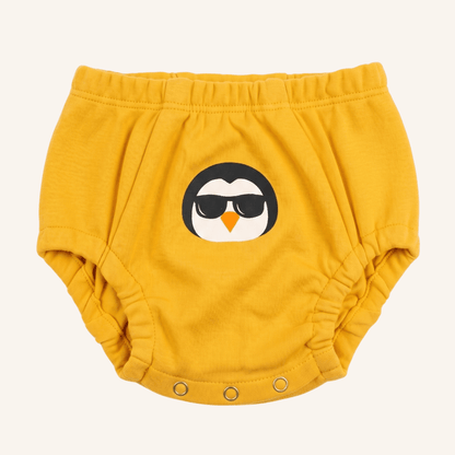 Day & Night Organic Training Underwear