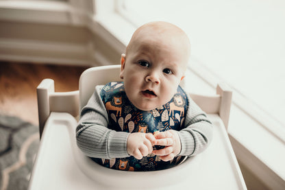 Lion Silicone Bib with Crumb Catcher