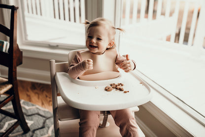 Sugar Cookie Silicone Bib with Crumb Catcher