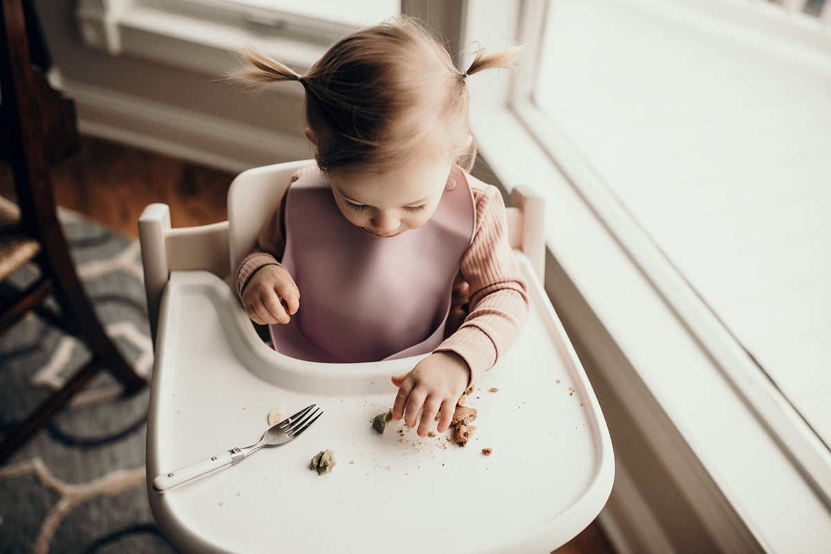 Lilac Silicone Bib with Crumb Catcher