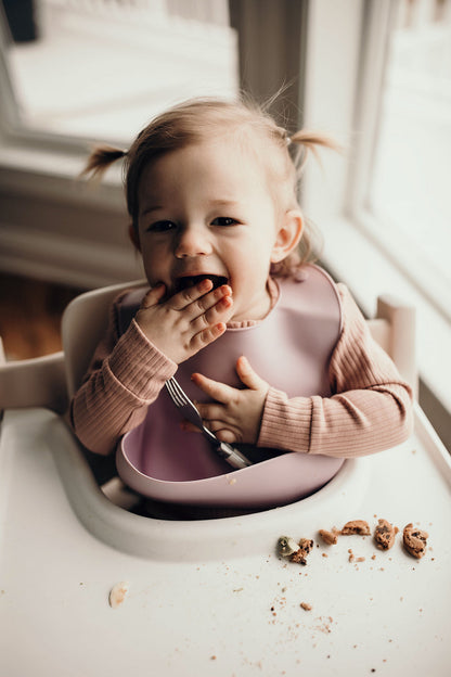 Lilac Silicone Bib with Crumb Catcher