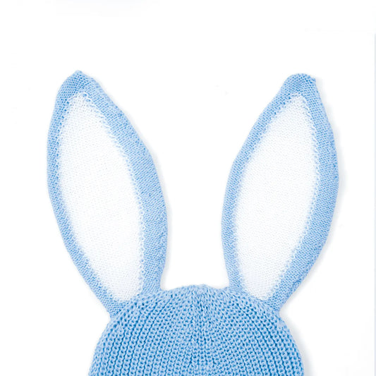 Bunny Ear Knit Beanie in Baby Blue