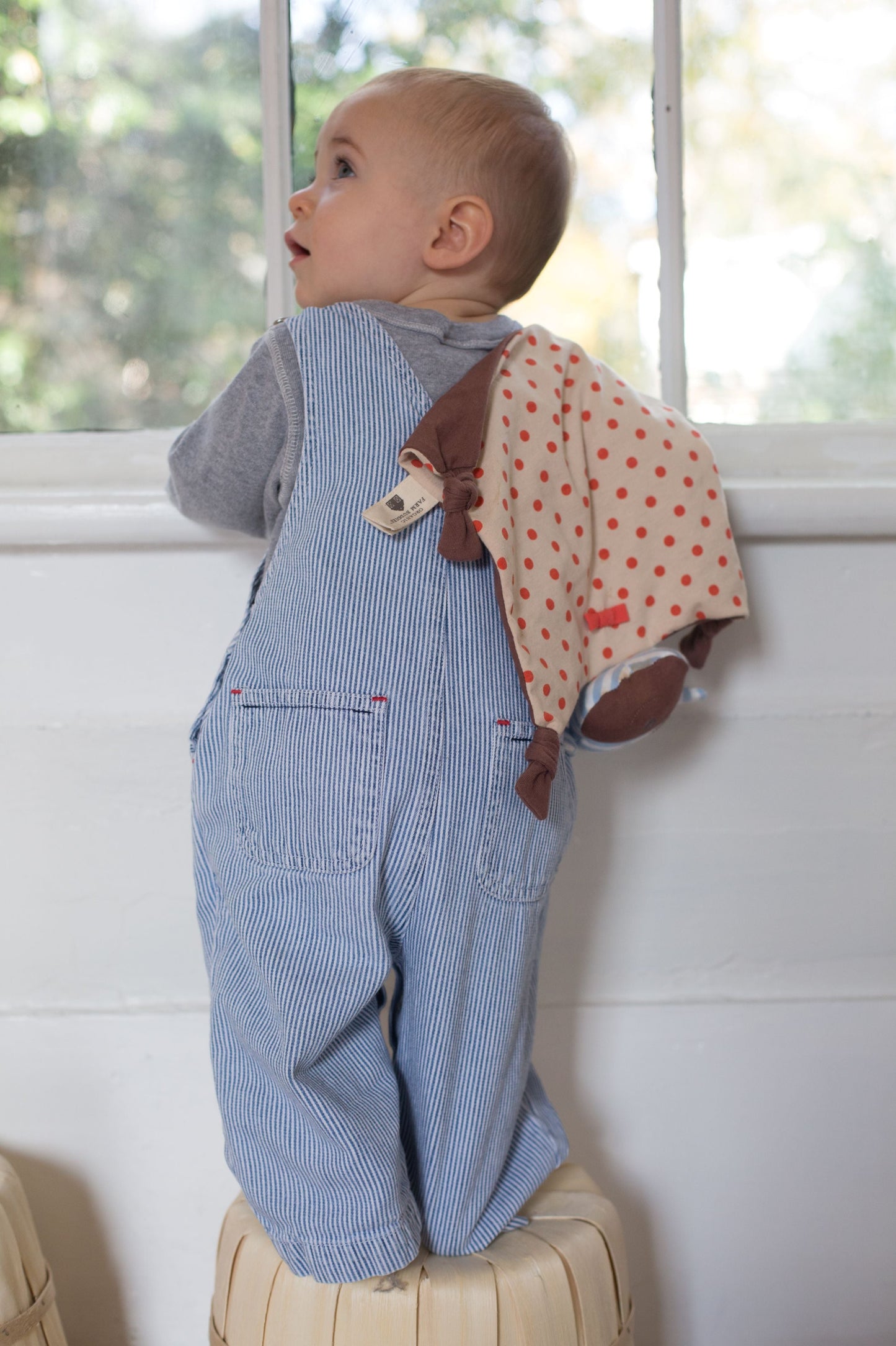 Boxer the Dog - Blankie