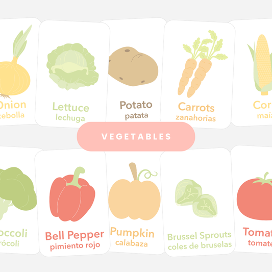 Vegetable Flashcards