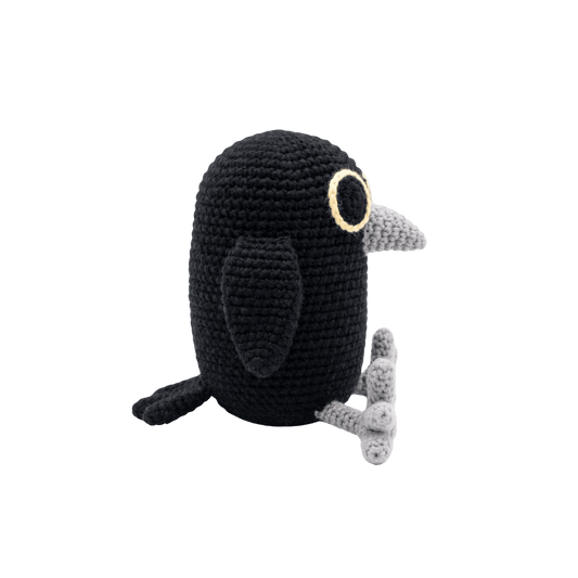 Aswadoo The Crow