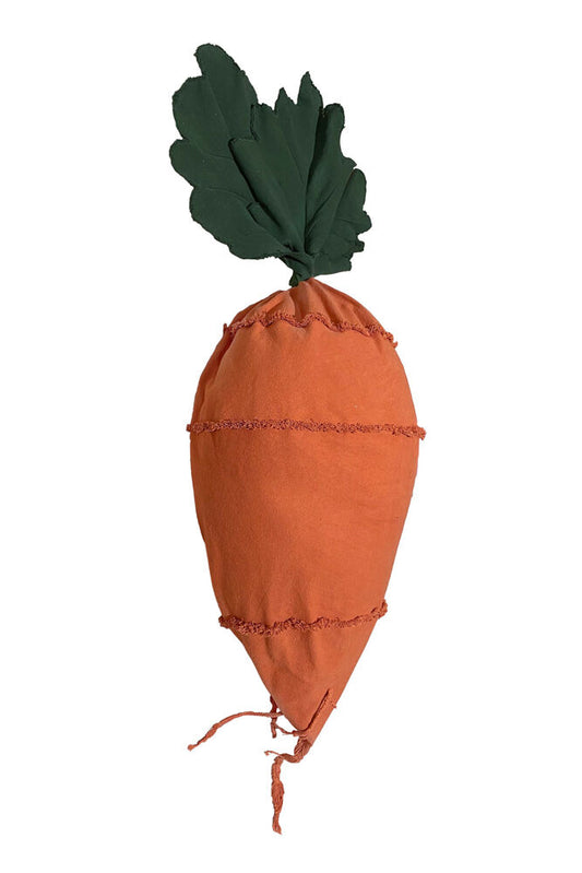 Cathy the Carrot Bean Bag