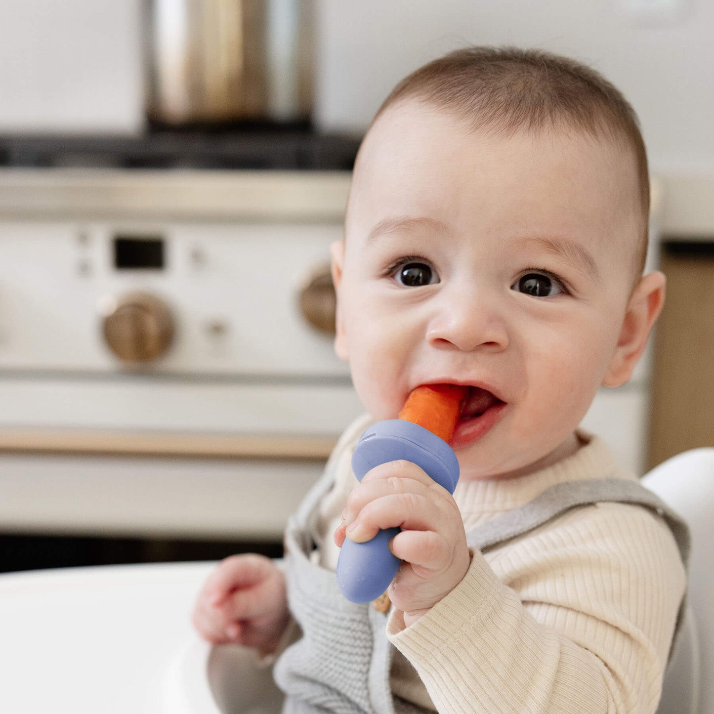 Ice Tray for the Baby-Led™ Gumline Feeder