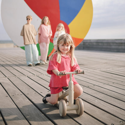 Mini Toddler Bike