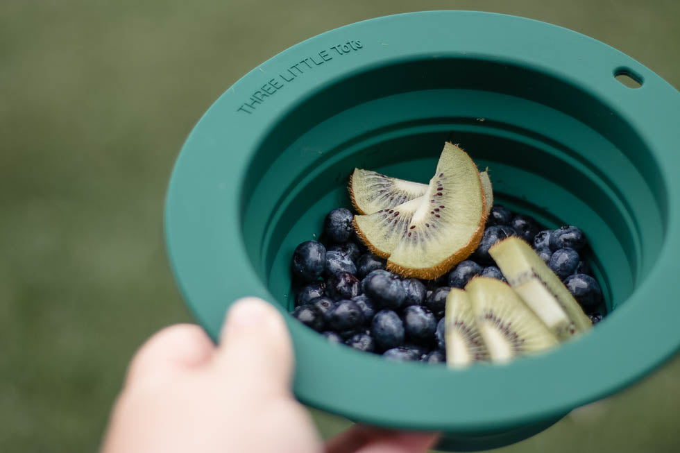 Forest Green Collapsible Bowl for Travel or Home
