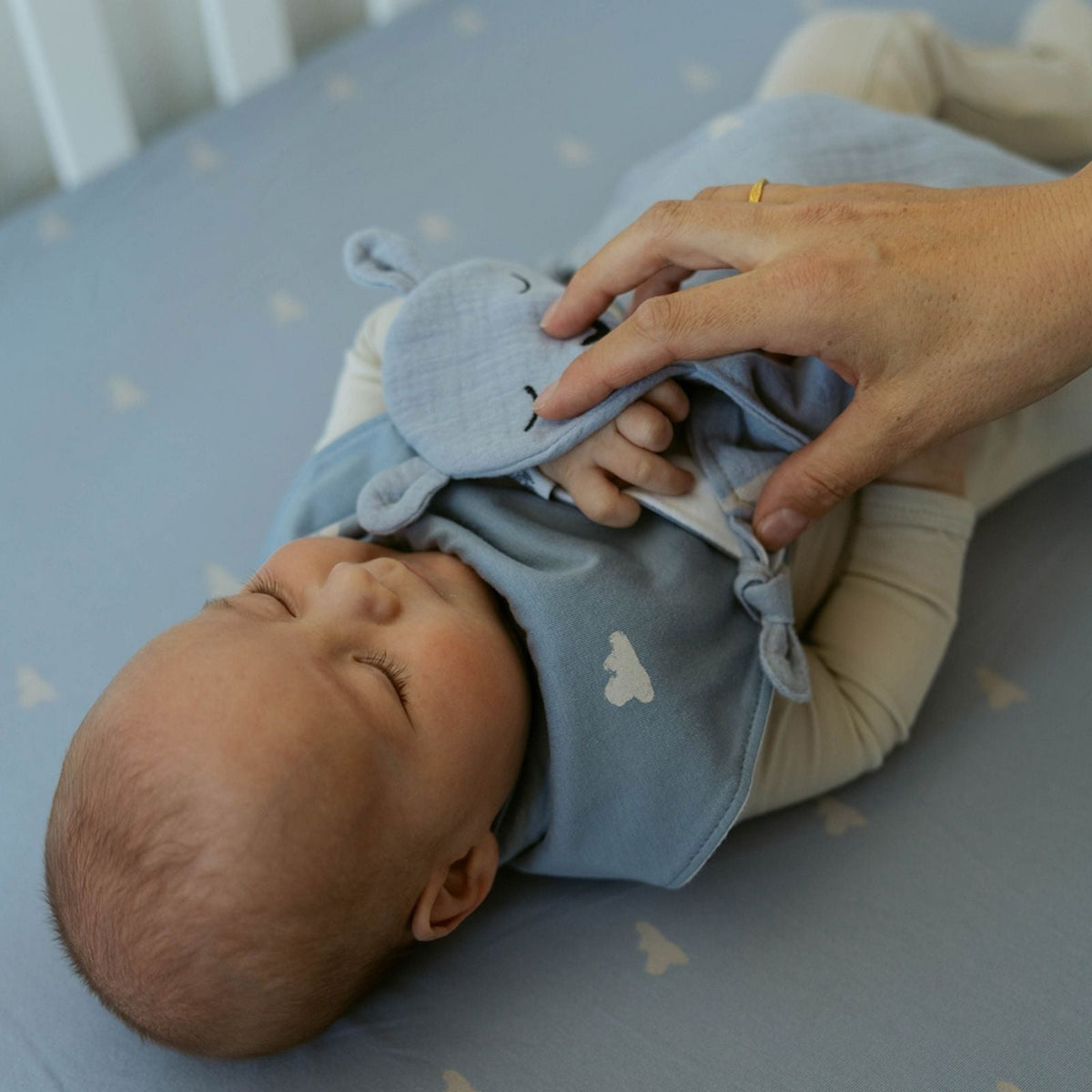 100% Muslin Lovey - Windy