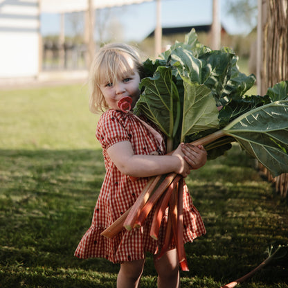 FRIGG Daisy Silicone Pacifier 2-Pack