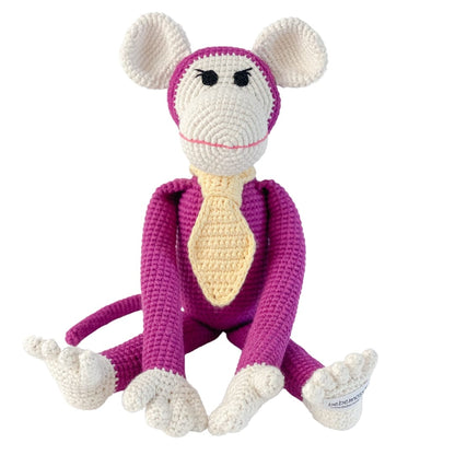 Momo the monkey