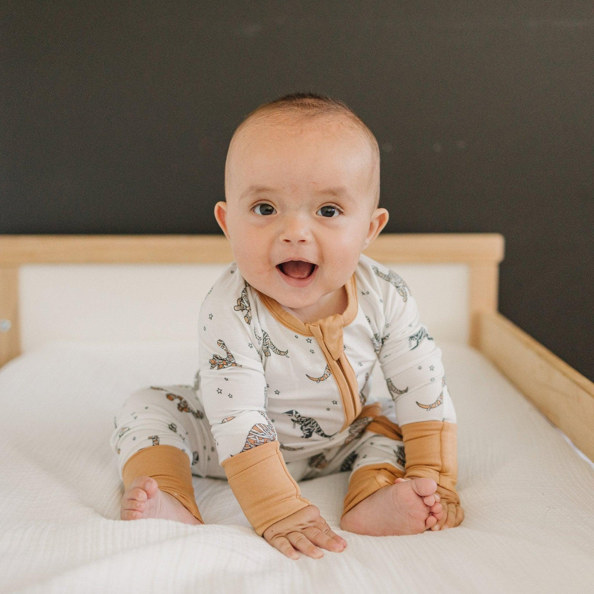 Mummy-Saurus Rex Bamboo Zippy Romper *Newborn & 0-3 months only