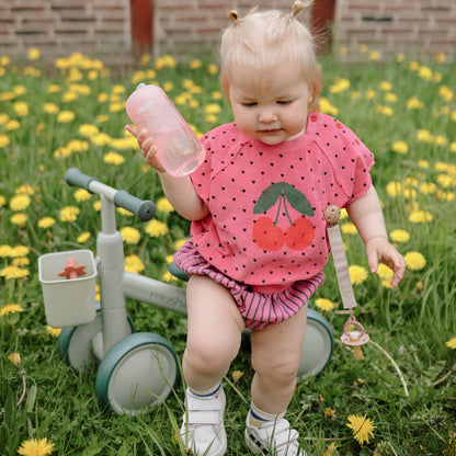 Mini Toddler Bike
