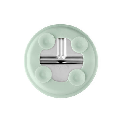 Stainless Steel Plate Set of 2 (Mocha Mousse & Sage Green)