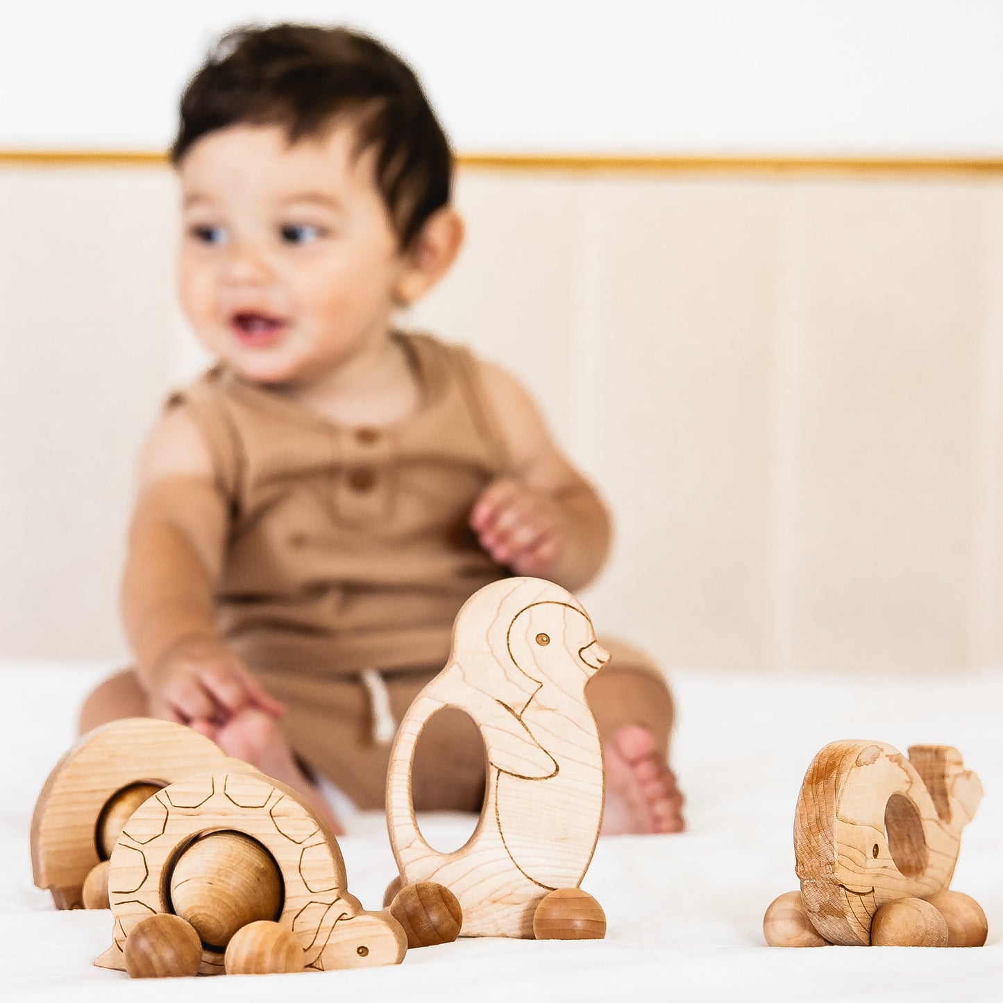 Roly Poly Turtle Push Toy | Made in the USA 🇺🇸
